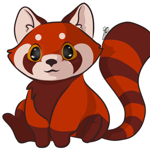 Team Page: Red Panda Rocks!